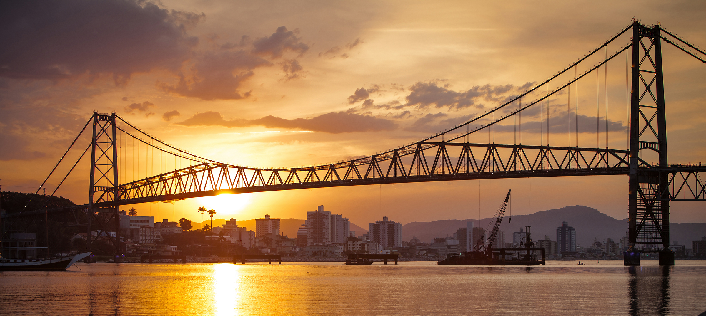 Legal Bridge Brasil Conectando Profissionais